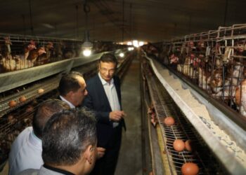 وزارة الزراعة: تحقيق إنجازات في العديد من الملفات عام 2025.