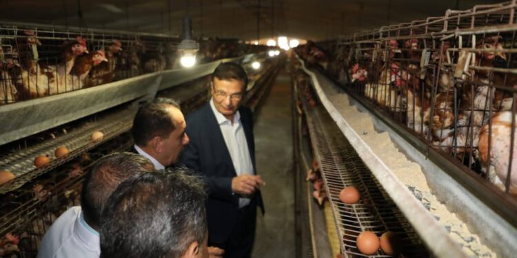 وزارة الزراعة: تحقيق إنجازات في العديد من الملفات عام 2025.