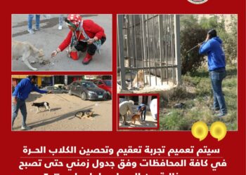 وزارة الزراعة:سيتم تعميم تجربة تعقيم وتحصين الكلاب الحرة