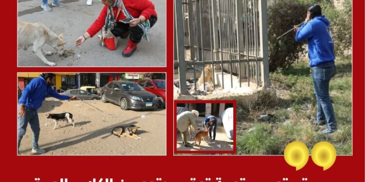 وزارة الزراعة:سيتم تعميم تجربة تعقيم وتحصين الكلاب الحرة