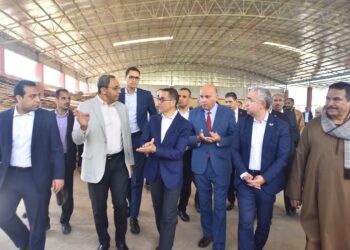 أهم قرارات وتكليفات وزير الاستثمار والتجارة الخارجية خلال جولته بمحافظتي الأقصر وقنا