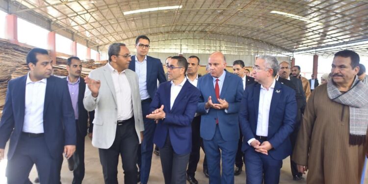 أهم قرارات وتكليفات وزير الاستثمار والتجارة الخارجية خلال جولته بمحافظتي الأقصر وقنا