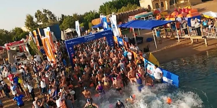 الجونة البحر الأحمر تتصدر مشهد الرياضات المائية باستضافة OCEANMAN 2026 ومهرجان الجونة للرياضات المائية 1 الجونة البحر الأحمر تتصدر مشهد الرياضات المائية باستضافة OCEANMAN 2026 ومهرجان الجونة للرياضات المائية